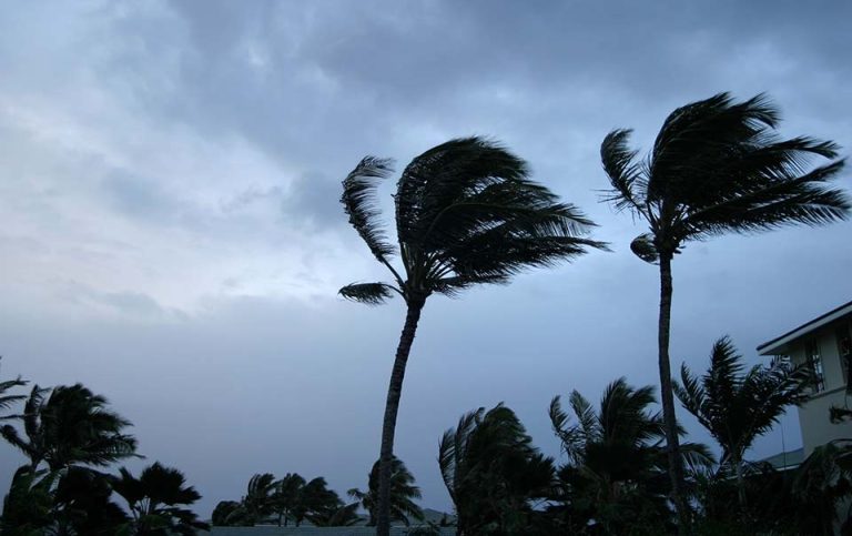 Hurricane Preparedness