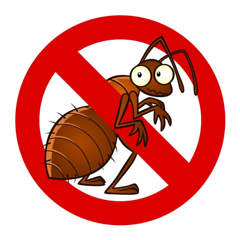 Do It Yourself Pest Control
