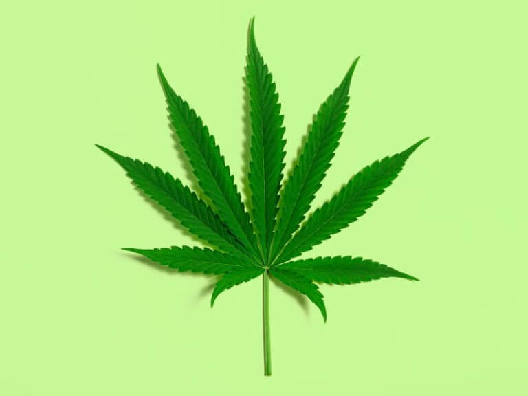 High Times