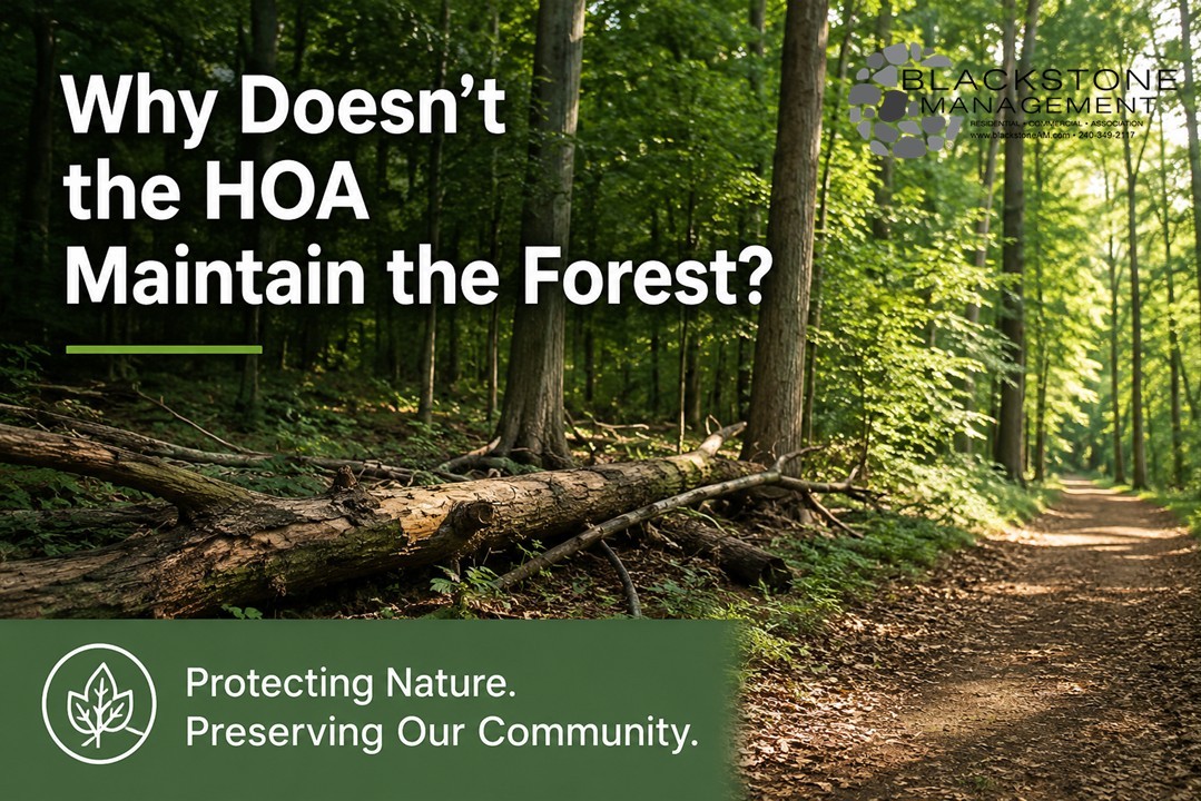 Understanding the Forest Retention Area