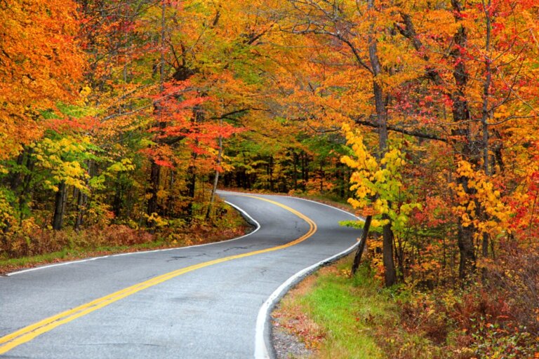Fall Fun for the Whole Family